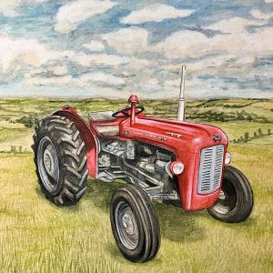 Little Red Massey by Emily Duffin