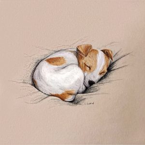 Friday Afternoon Snooze by Emily Duffin