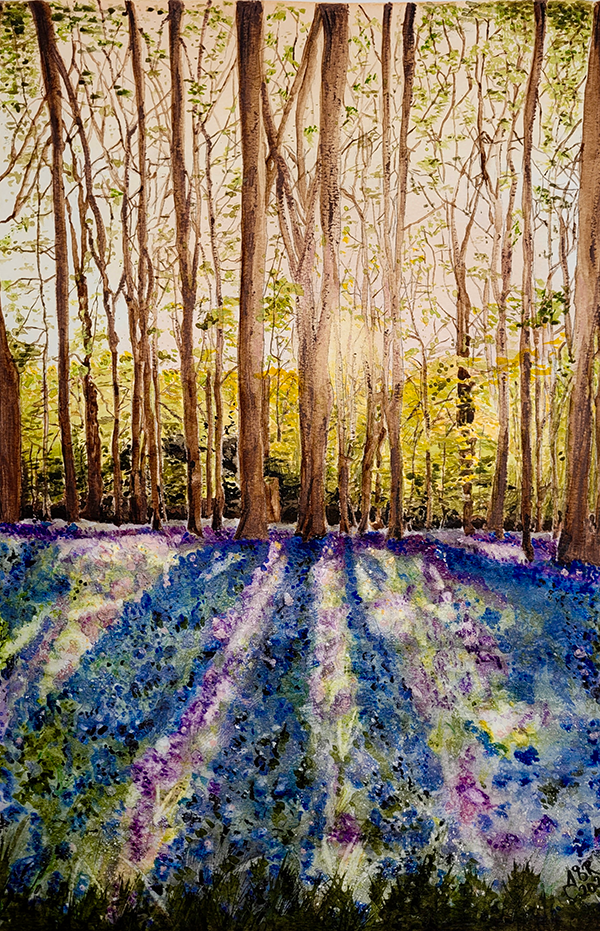 'Dappled Bluebell Woods' by artist Jill Rosser from Deal, Kent. Jill's work 'Stormy Skies, Deal' appears on Modern Art Distillery (M.A.D) gin and rum bottle labels limited edition 2025