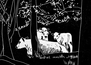 Modern Art Distillery (M.A.D) showcasing Caroline Gibson's artwork 'The Morning Walk' a linoprint of Blenheim Palace. This artwork is on M.A.D limited edition bottles 2025