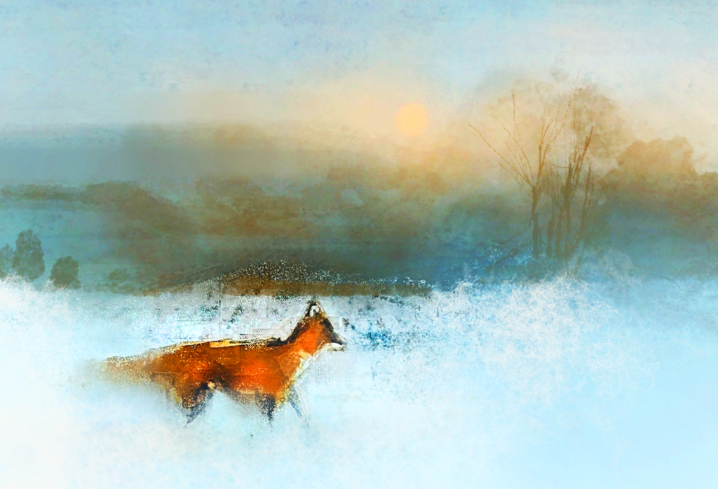 Modern Art Distillery Strawberry & Honey Spiced Rum. Bottles with commissioned artwork from emerging artists. This artwork is by an artist from Eastbourne, East Sussex - Chris Hill. The watercolour artwork depicts a self-assured, confident fox striding through a wintery scene and is called 'King of the Forest'